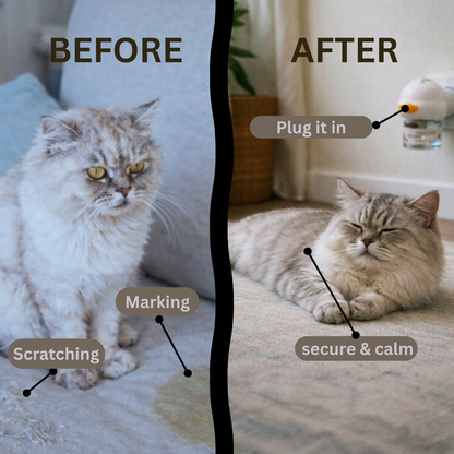 Cats Calming Diffuser