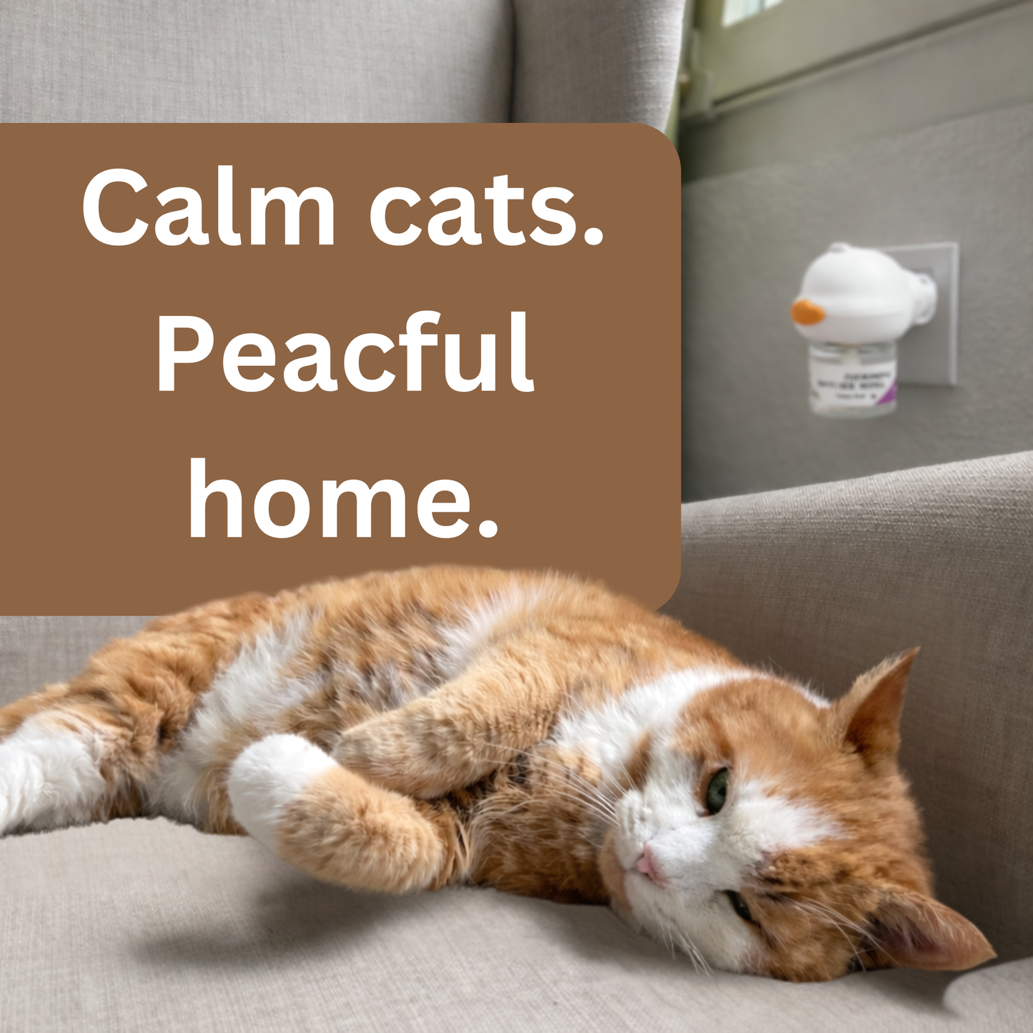 Cats Calming Diffuser